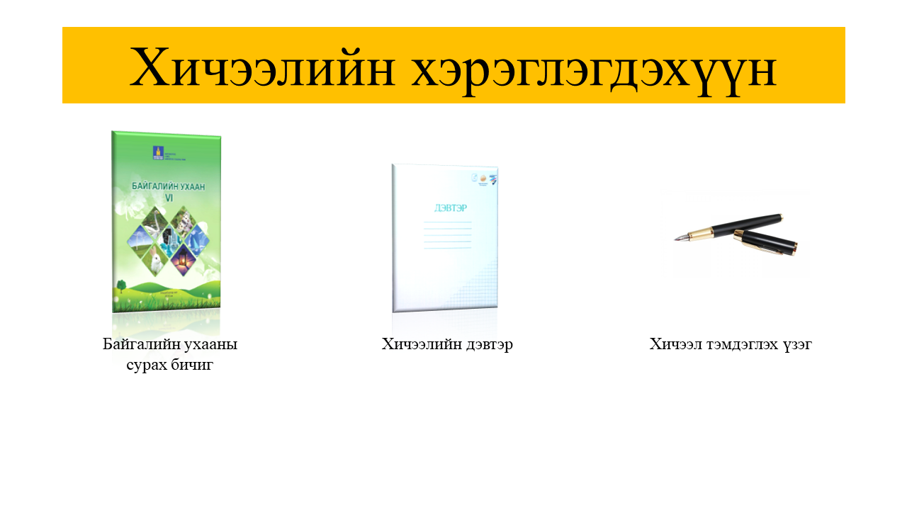 Мэдлээ | Цахим контент